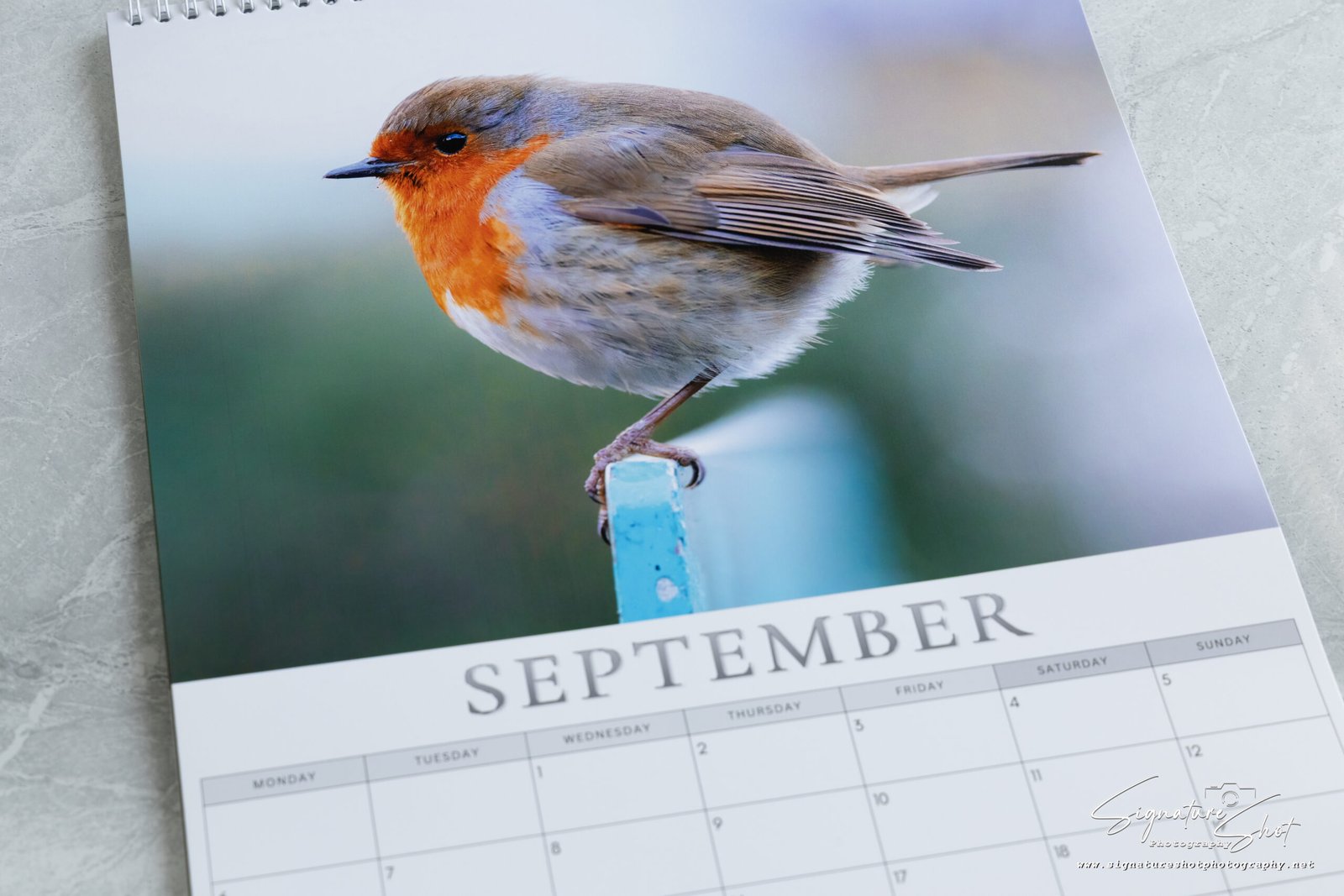 Close-up of a monthly layout inside the Robin 2027 calendar