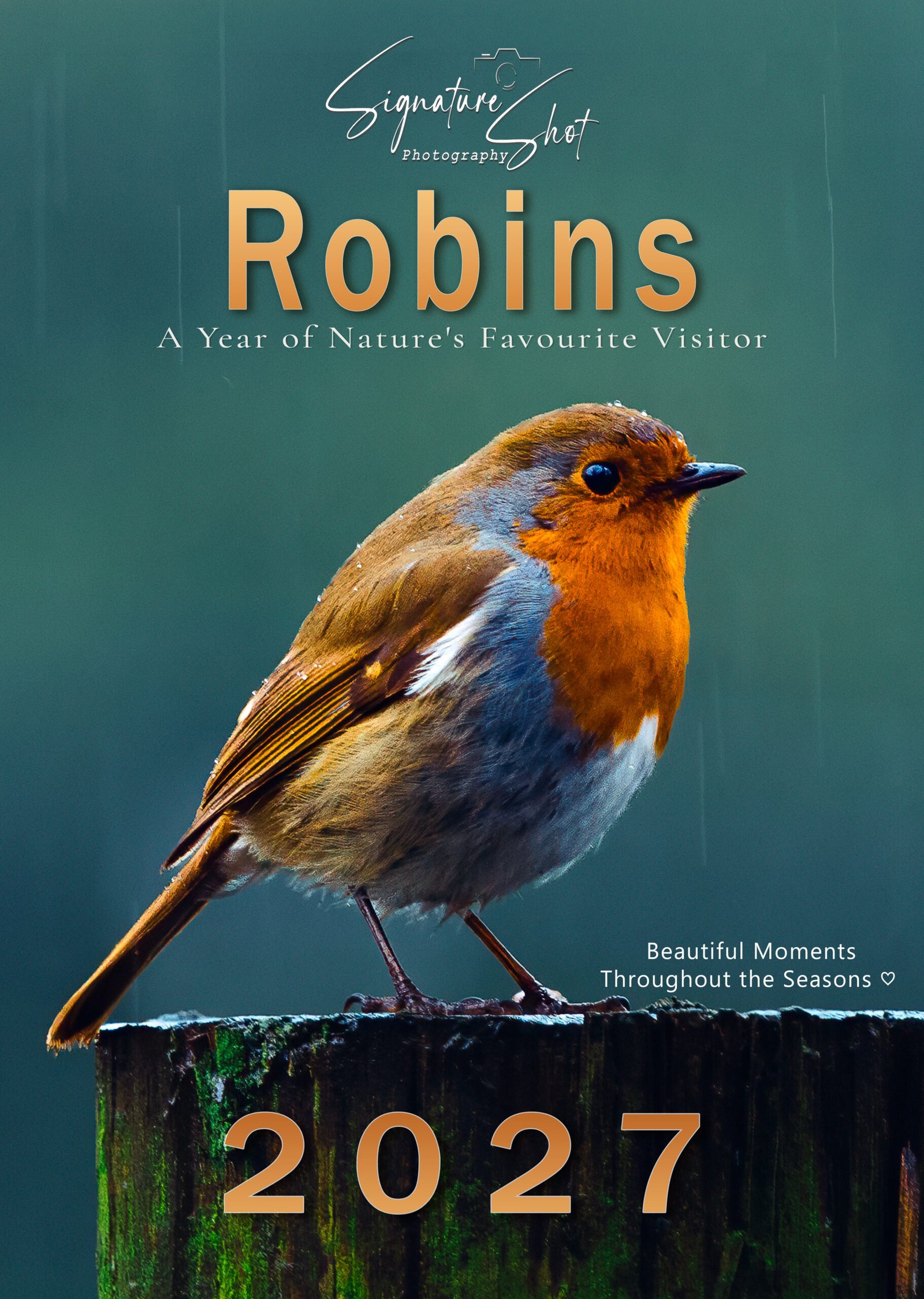 2027 Robin Calendar